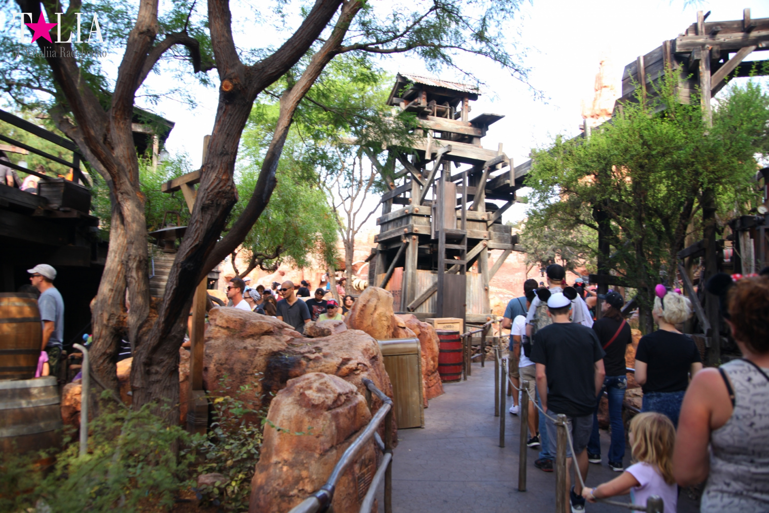 Диснейленд в Калифорнии (Анахайм, Лос Анжелес). Аттракционы